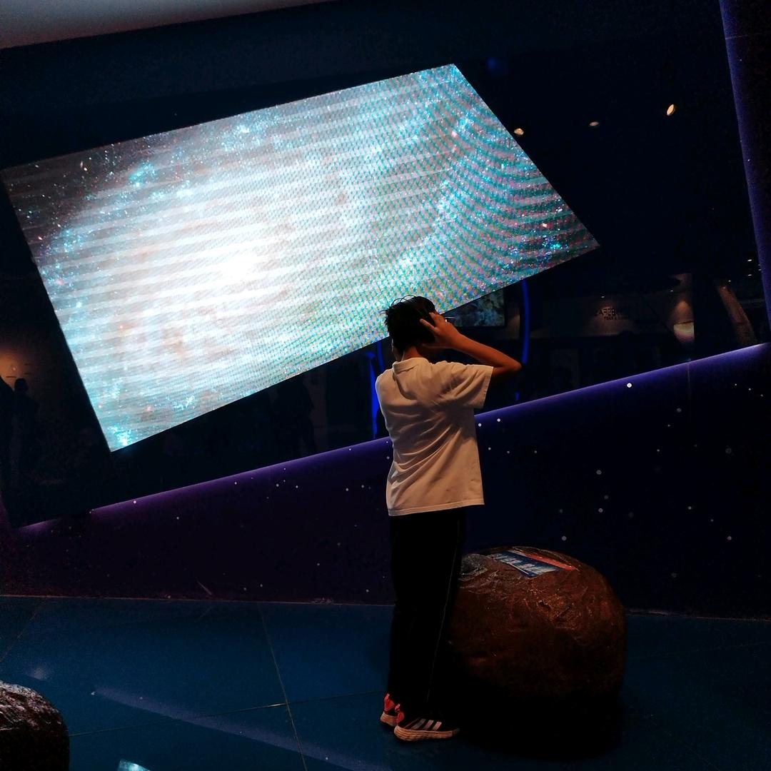 枝头💕小吖🍀