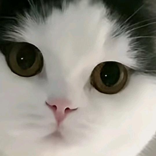 顺其自然