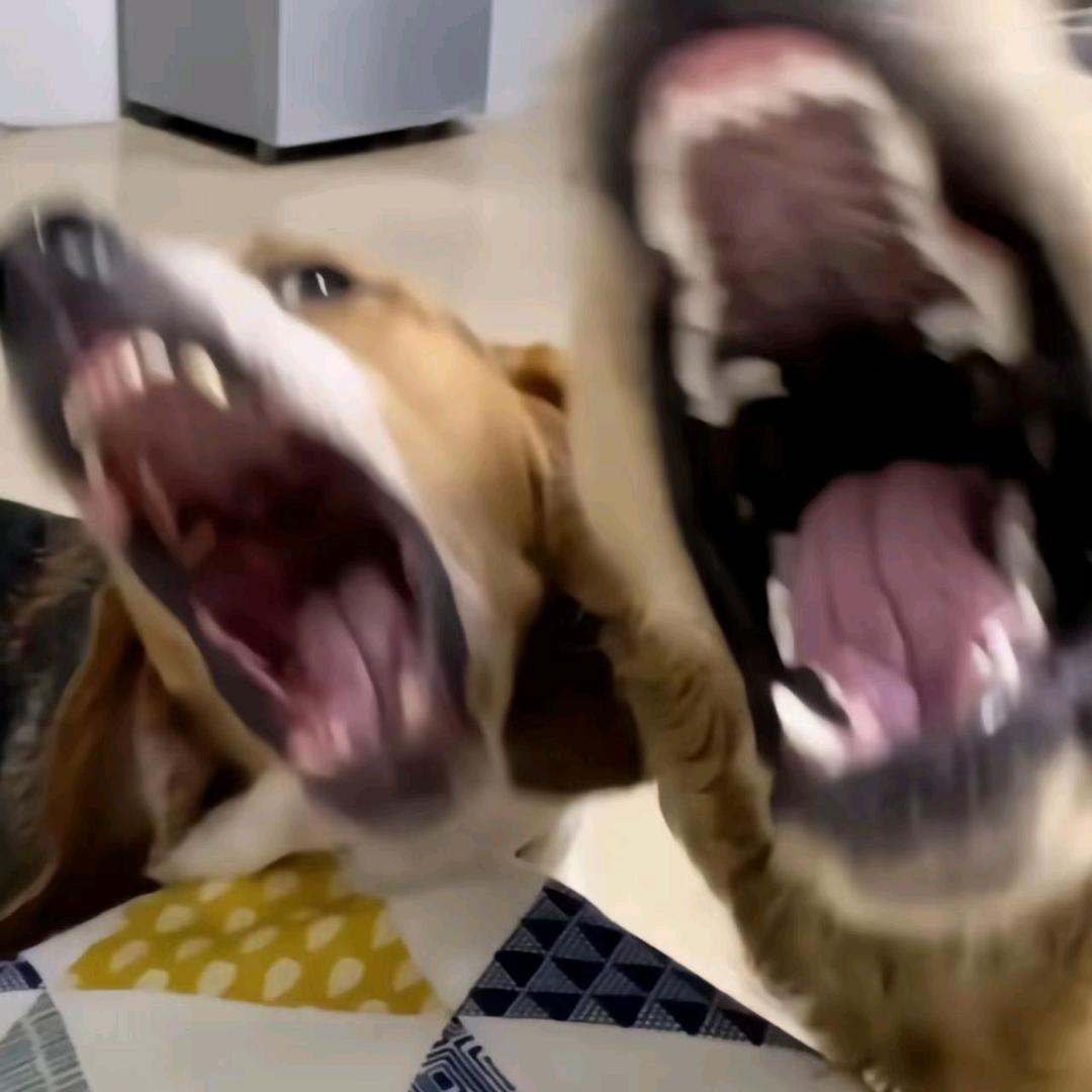 小田的木子❣️