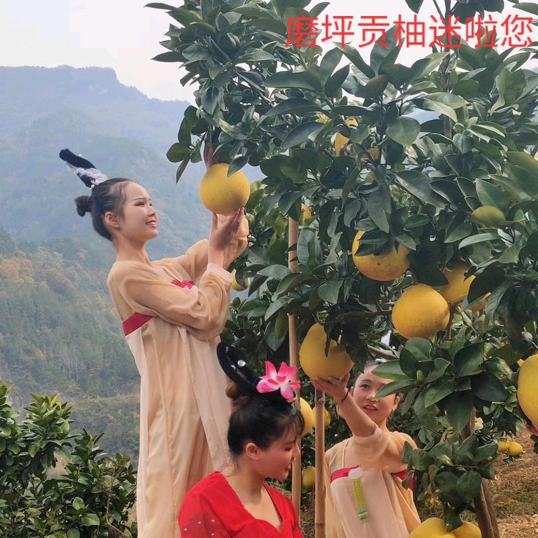 知遇三峡土特产