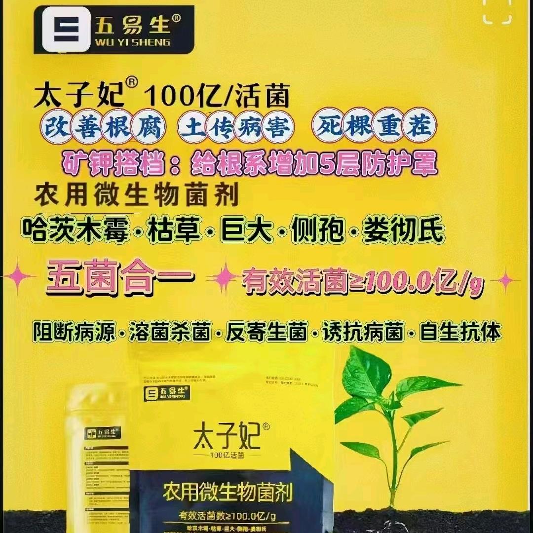 新疆五易生客户经理  赵燕