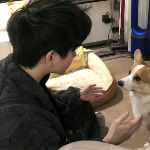 冬瓜
