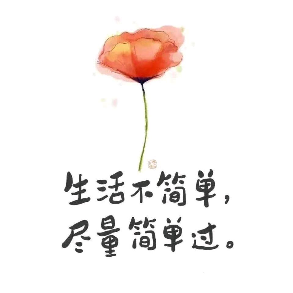 爱宝宝