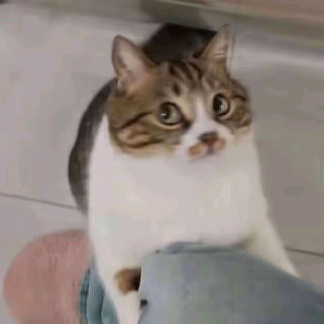 氿歌