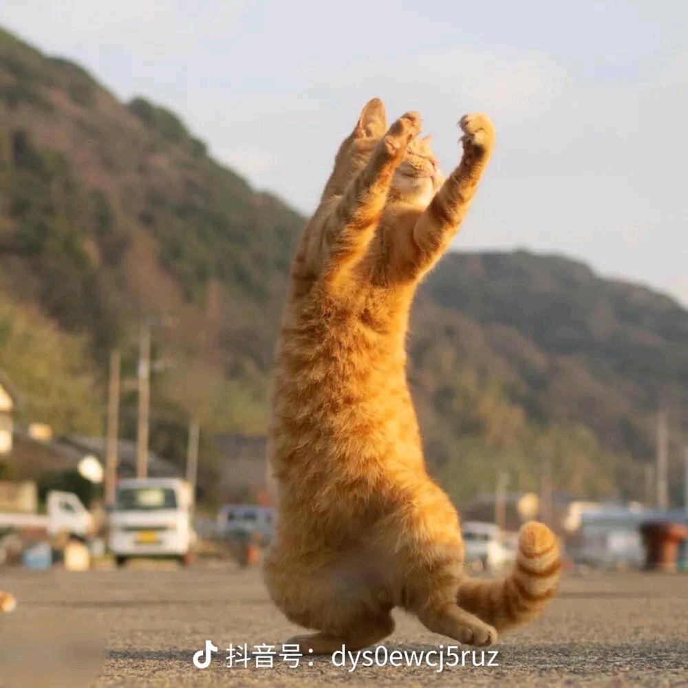 日落..