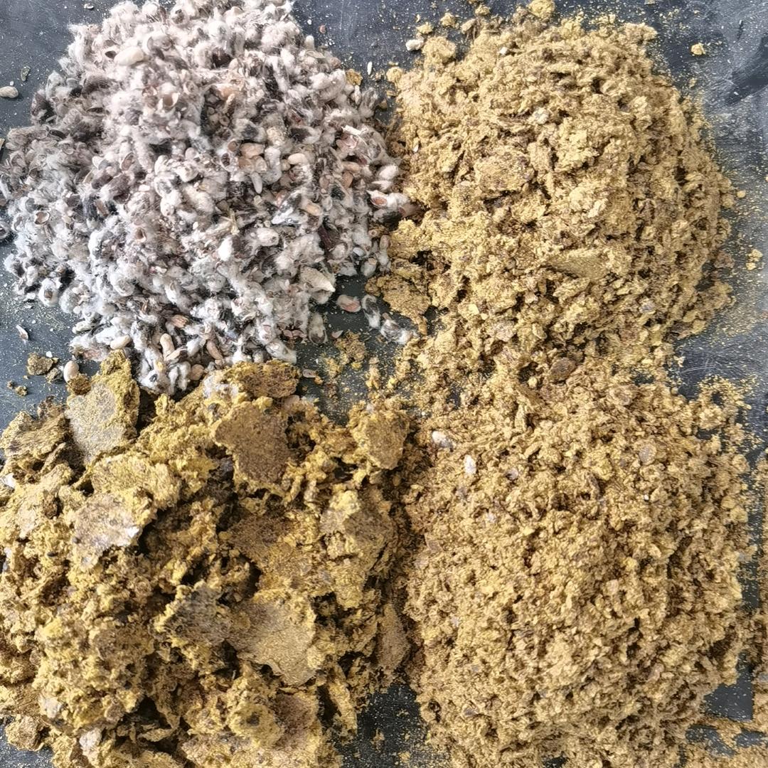 热血江湖