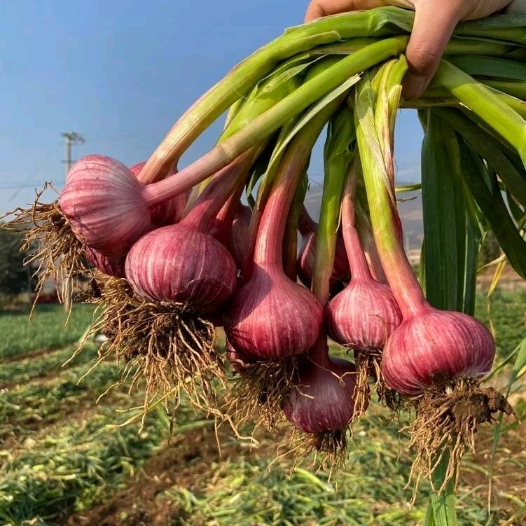 小赵助农