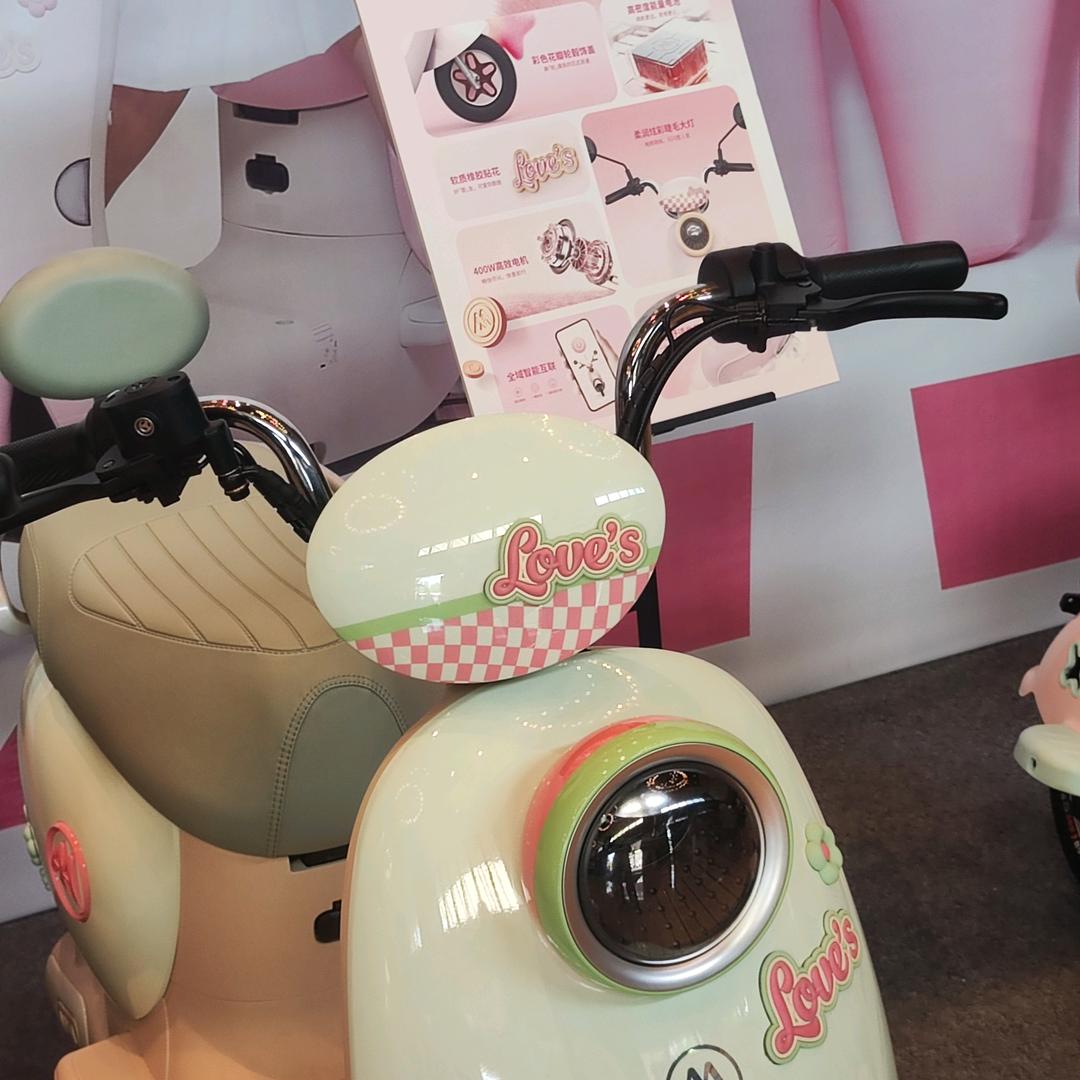 大许寨爱玛电动车金彭篷车