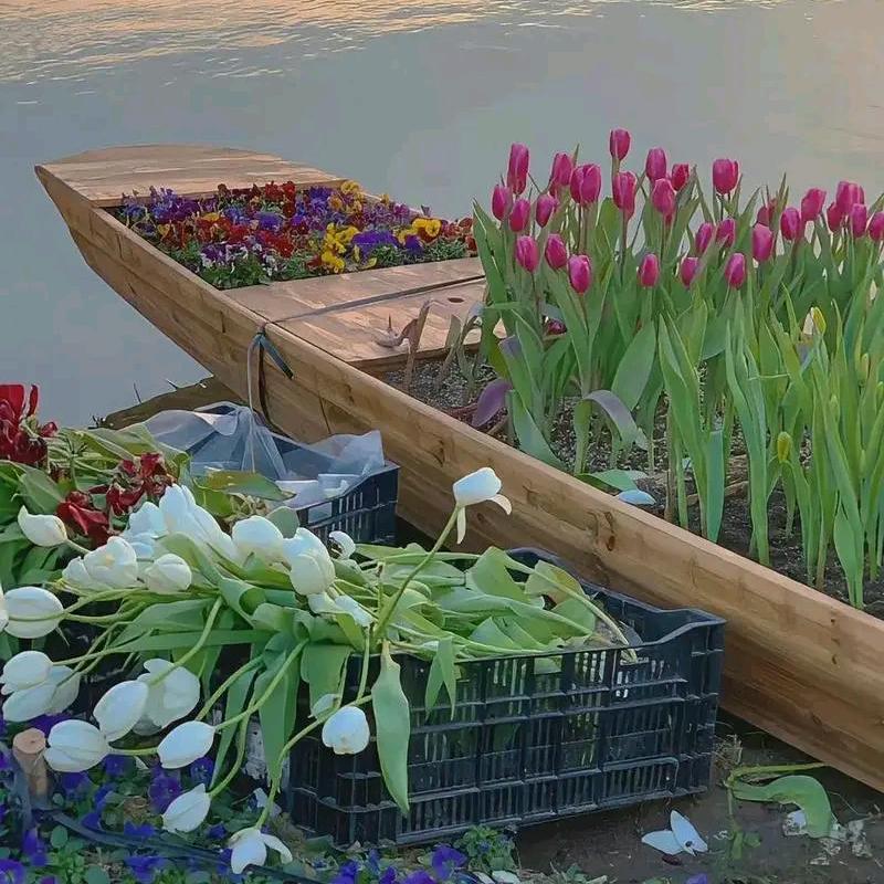 芳矜优选