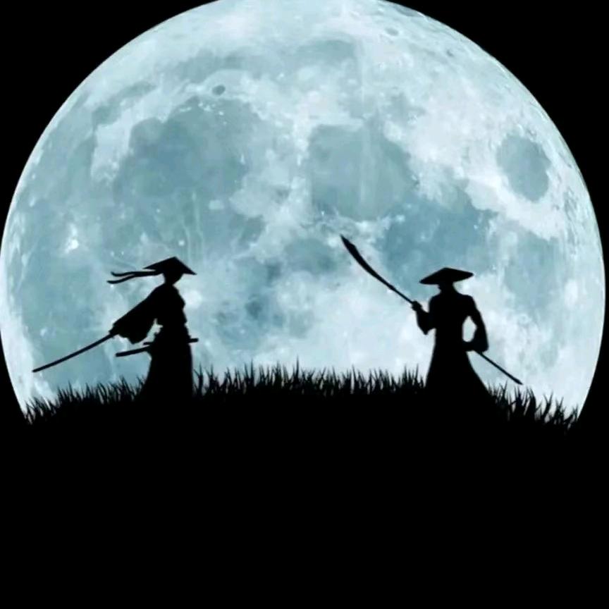 风̼生̼水̼起̼