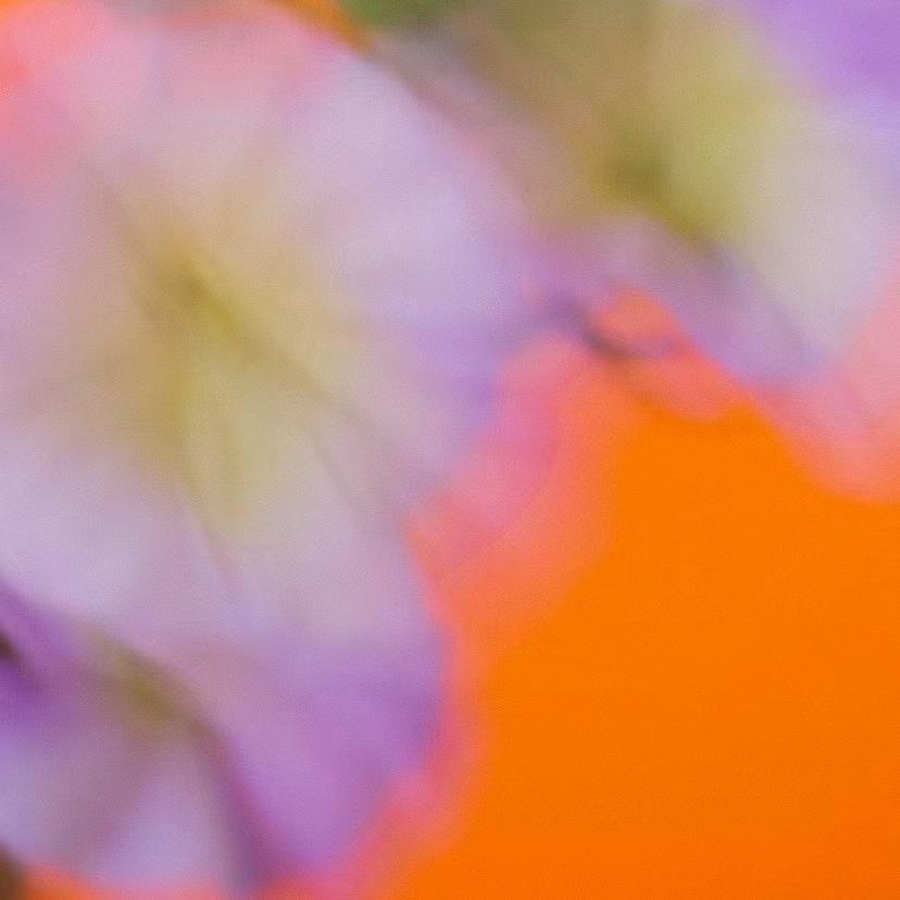 ＿依依好物分享