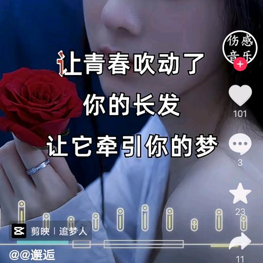 冰之心