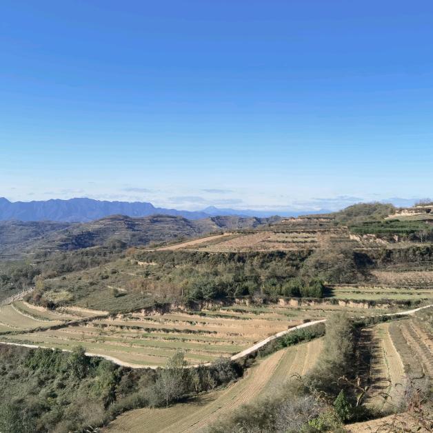 天气遇报