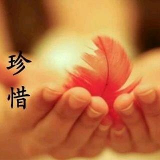 🕊🍎☪꯭如꧔ꦿ᭄亿