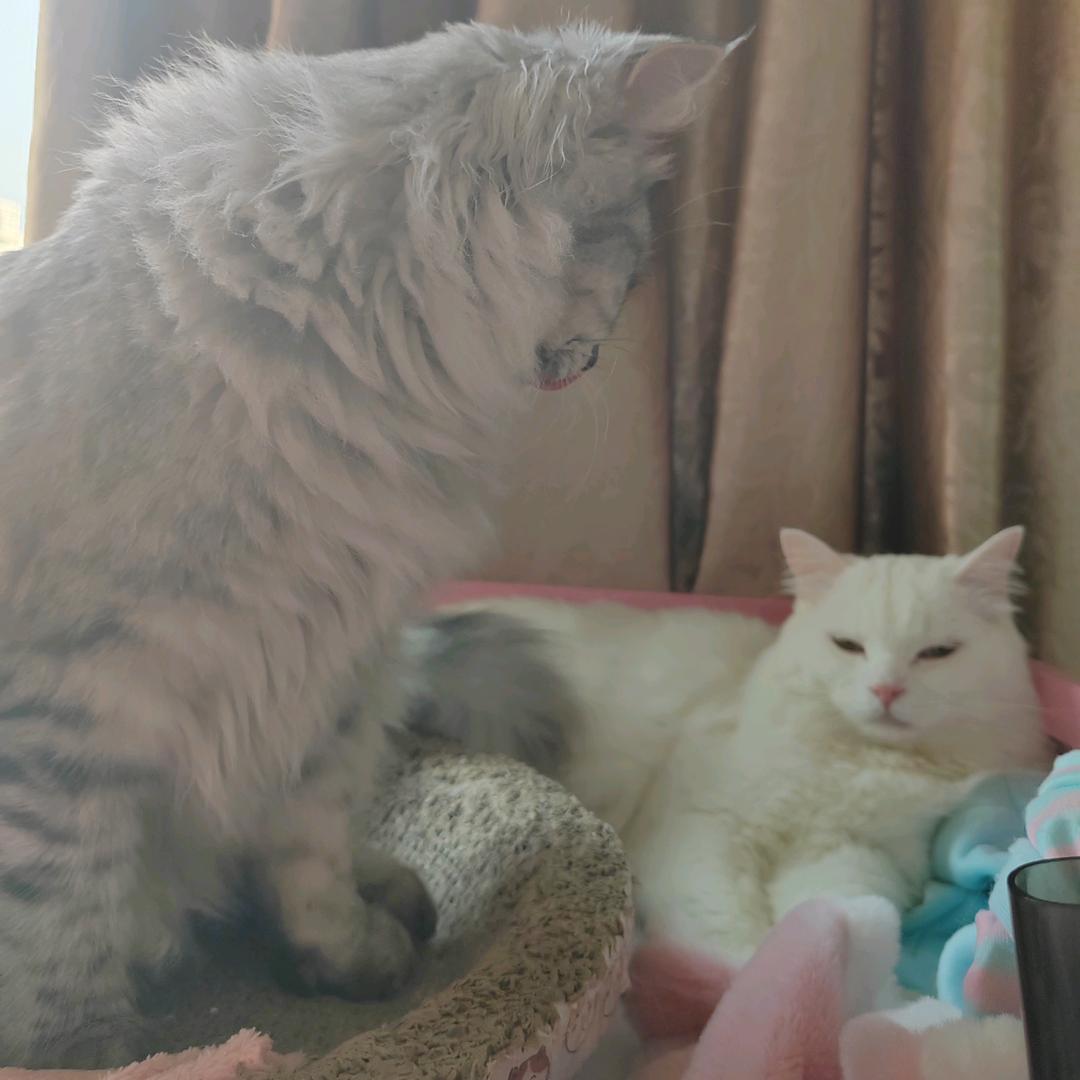 不会起名
