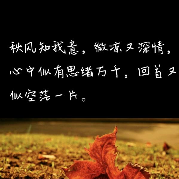 默默🌸开