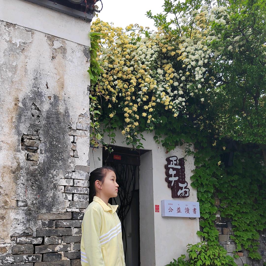 小宜日记