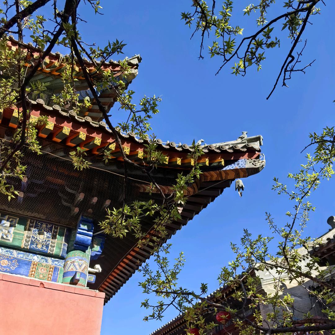 阳光战士