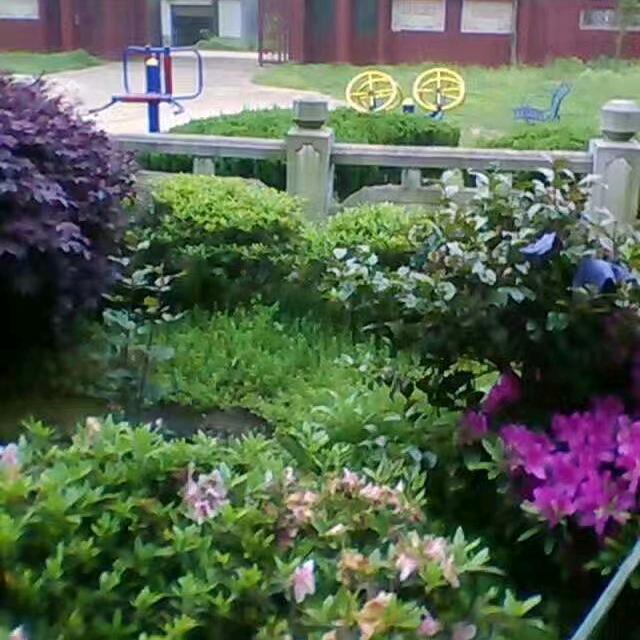 实在人