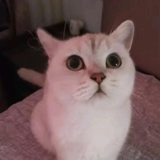 张学中