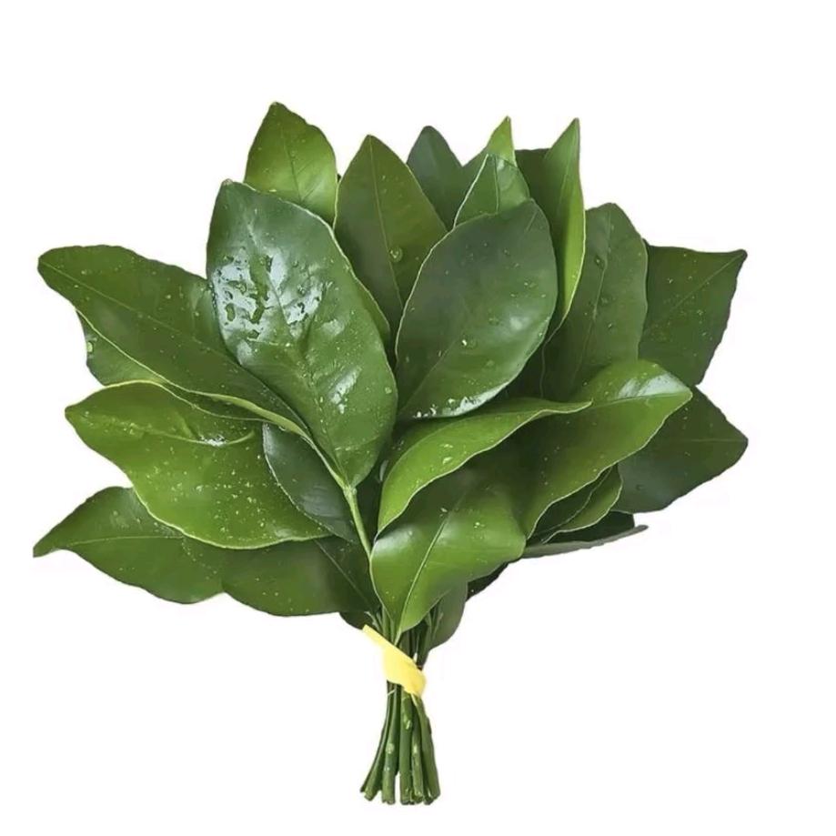 发发(限流中…)