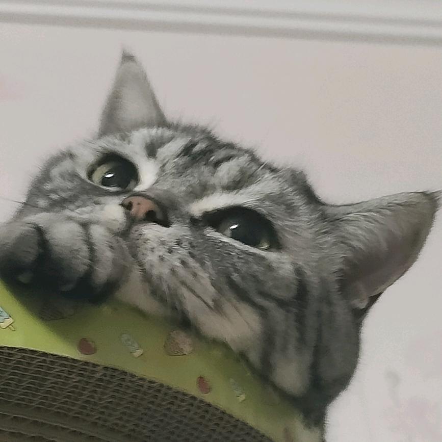 Z°violet