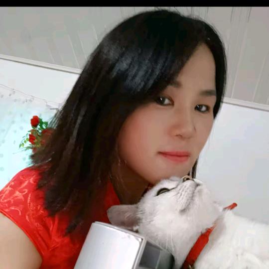 淮北小趴菜