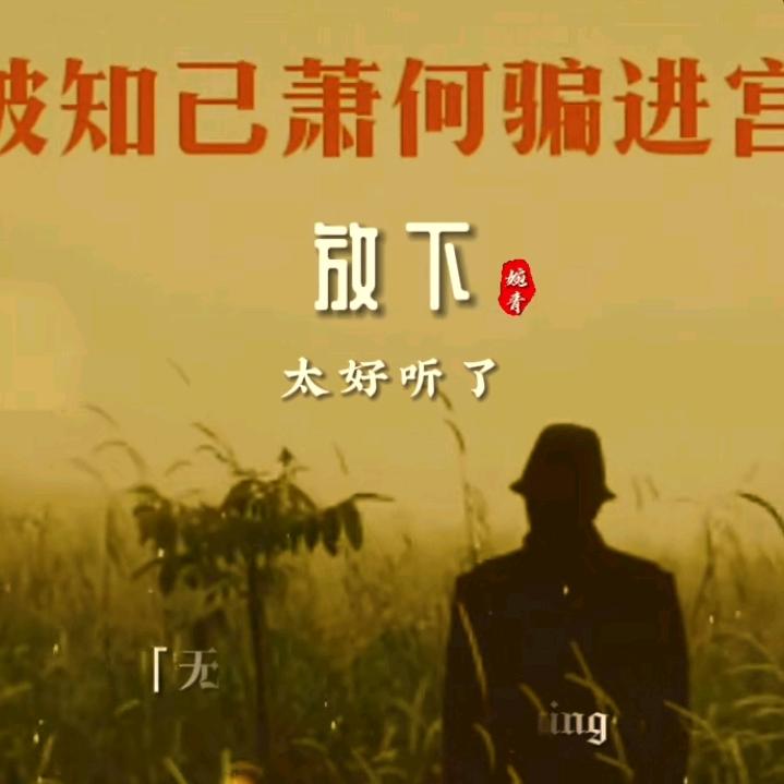 缘来缘去