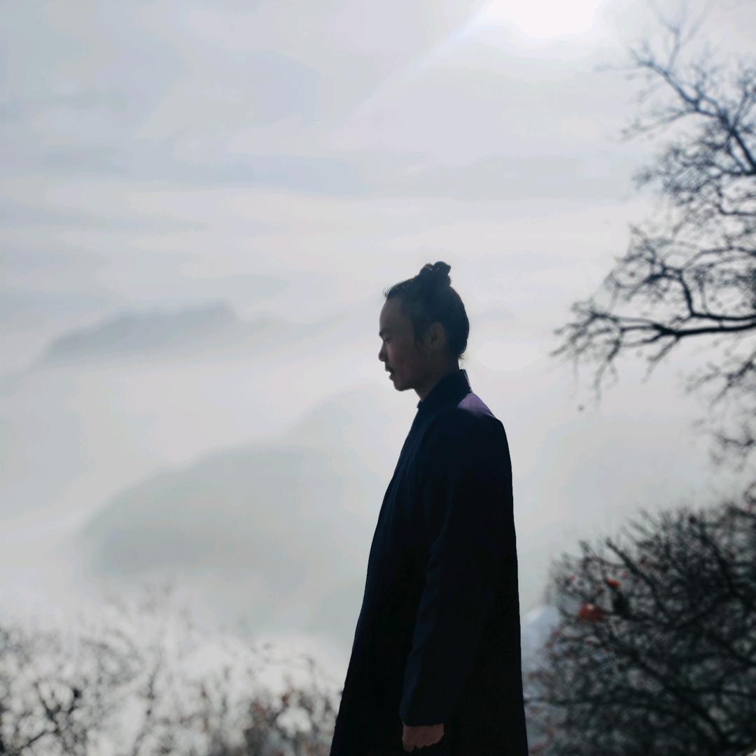 终南灵芝山人