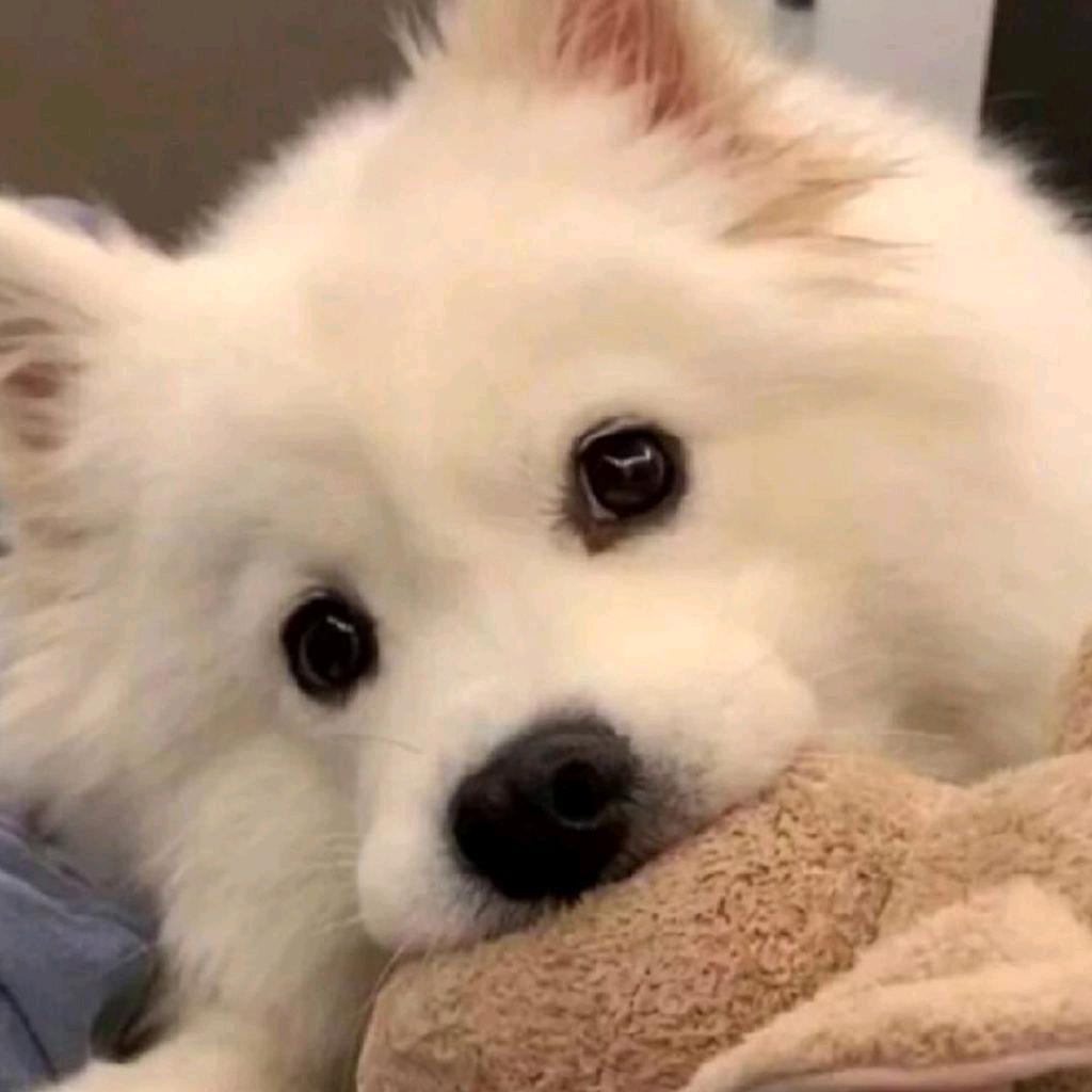 清馨💕