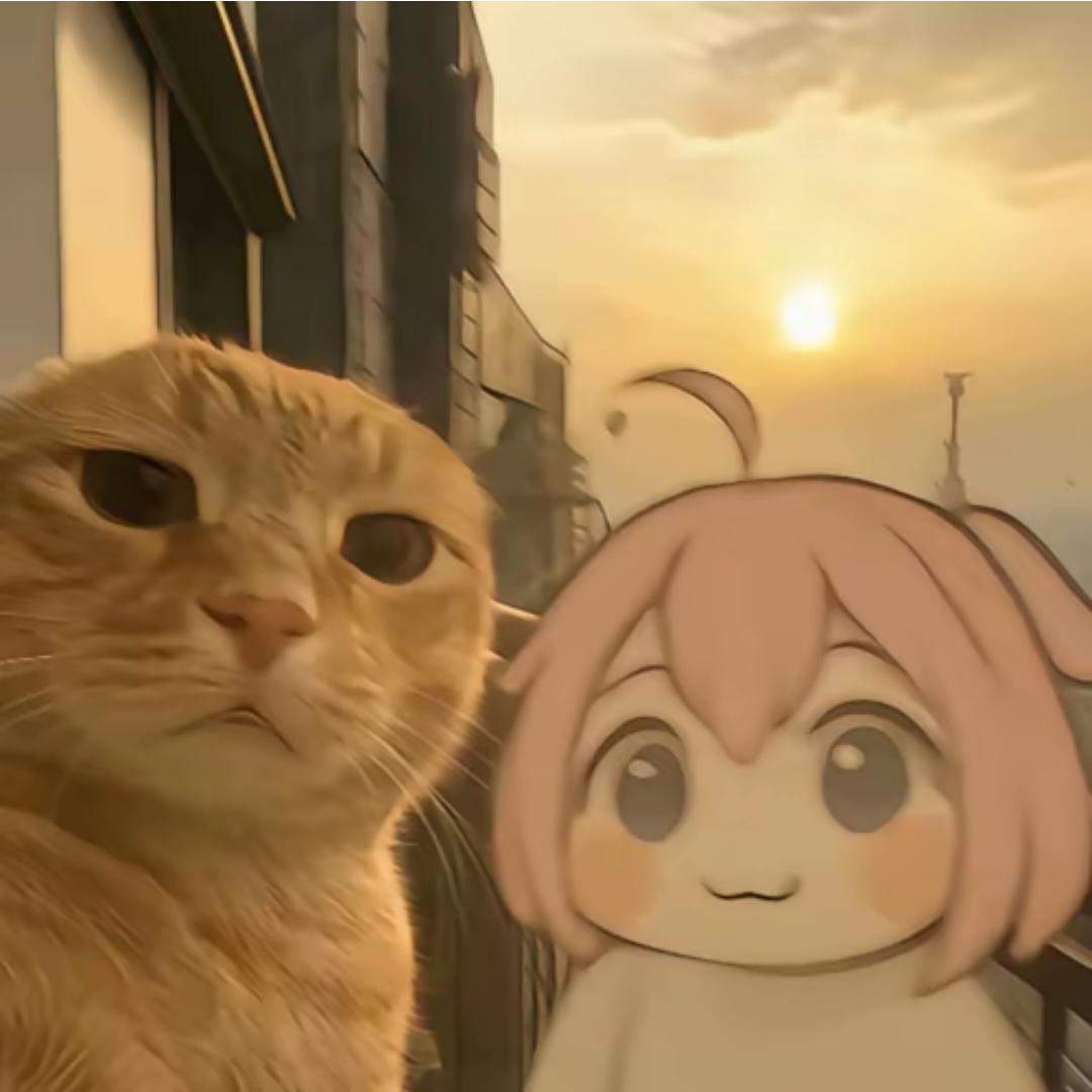 灵殒