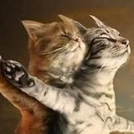 长丰县小海收旧衣服长头发旧手机电脑