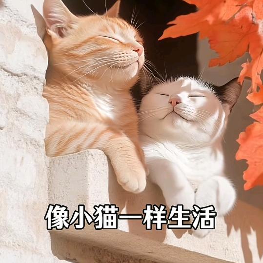 78零后真厉害