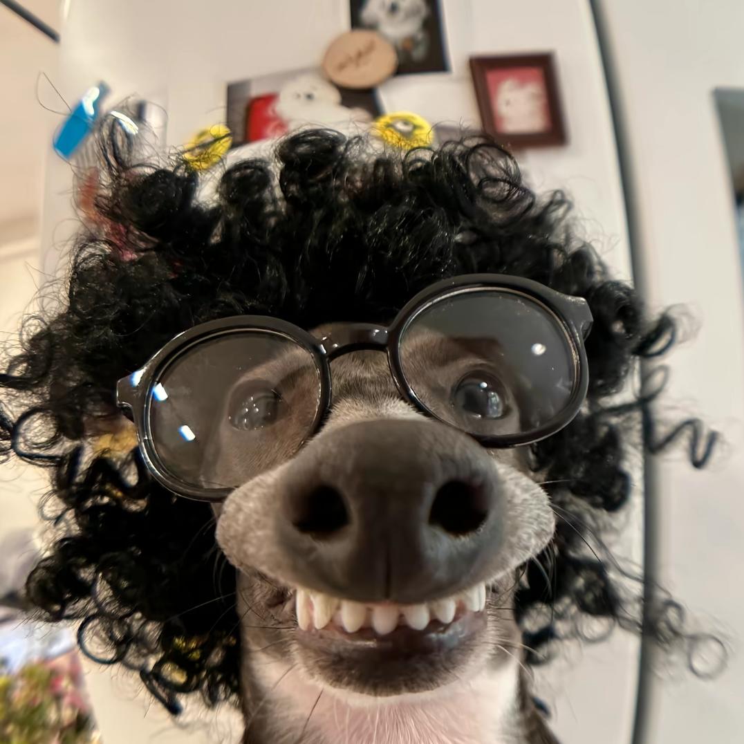 YN