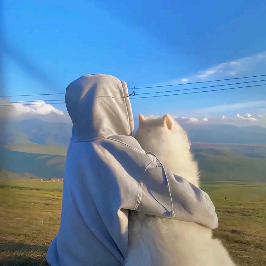 莫西科炭烤大灰狼