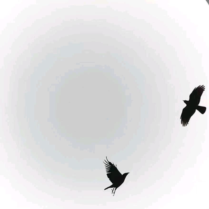 林海
