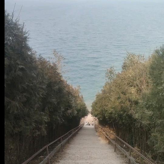 骑着蜗牛🐌追高铁🚅