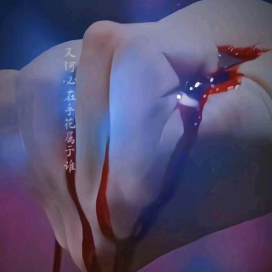 惜❤️雪ᝰ