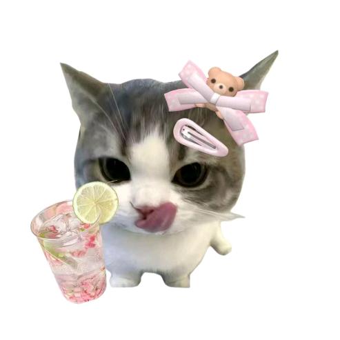小鱼丸