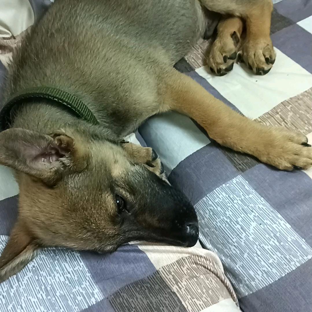 永不遗忘的誓言