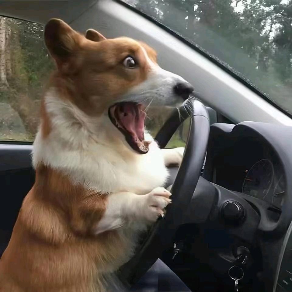 1218