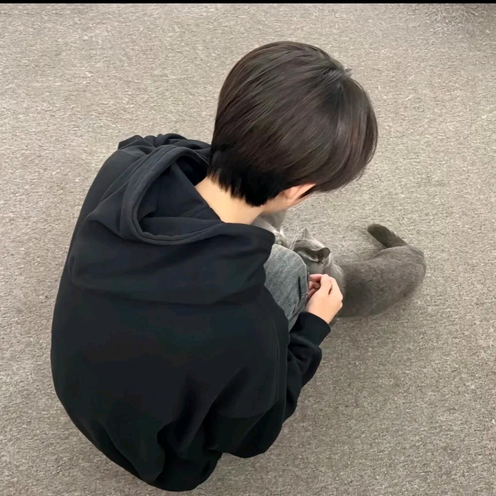 裂纹冰
