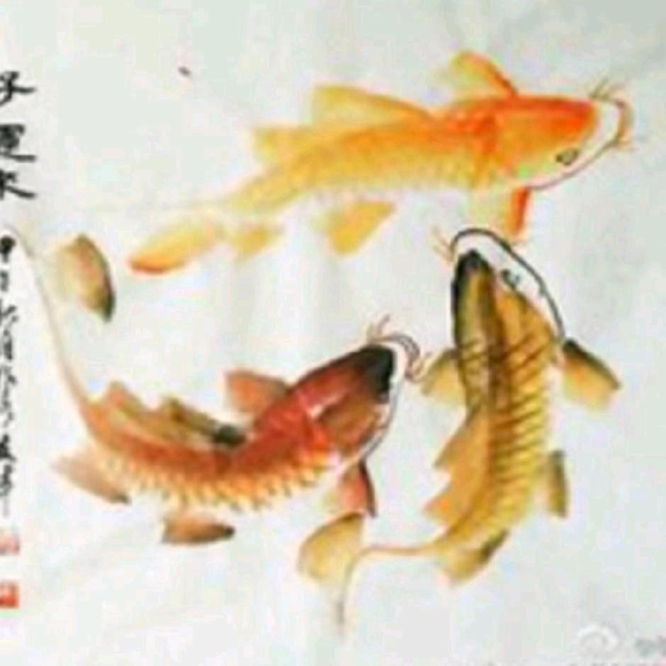 🌿聂而🍀•㉨•🍀不莣💦