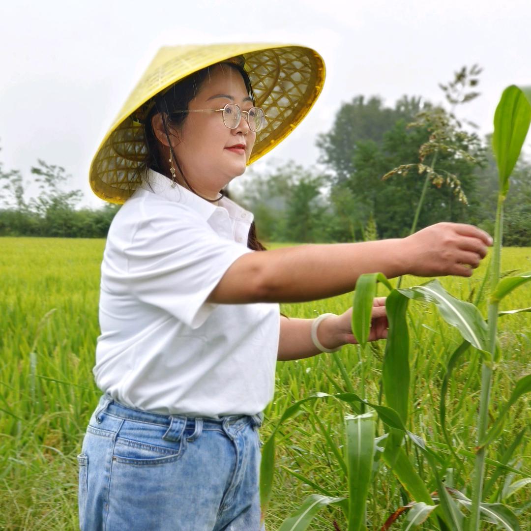 金美丽