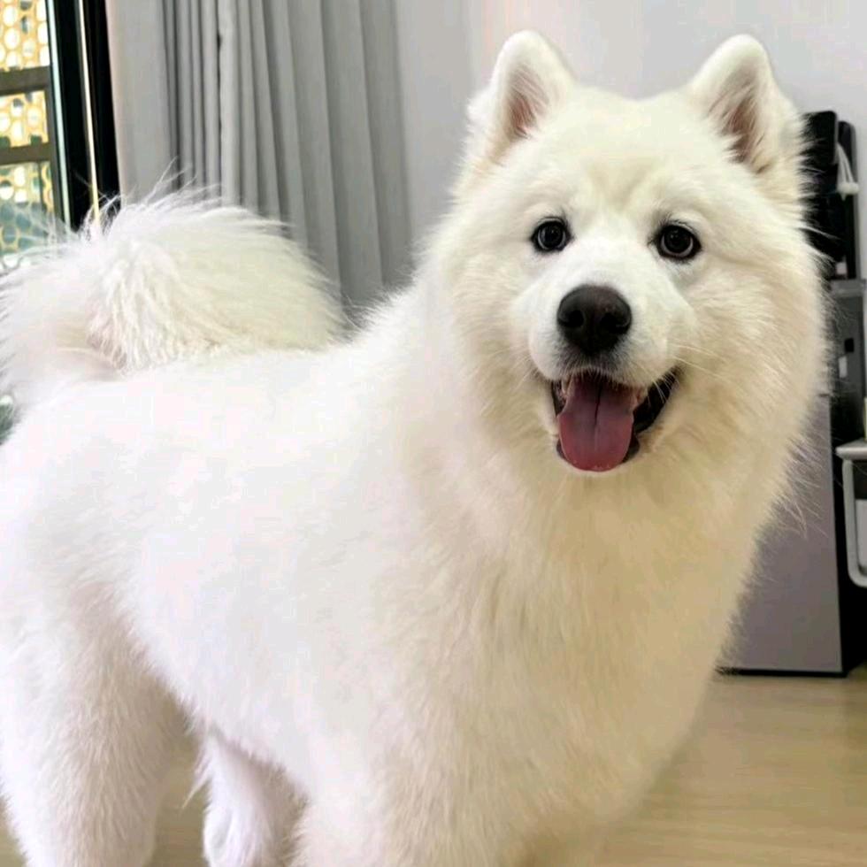 @福宝纳金坊💫