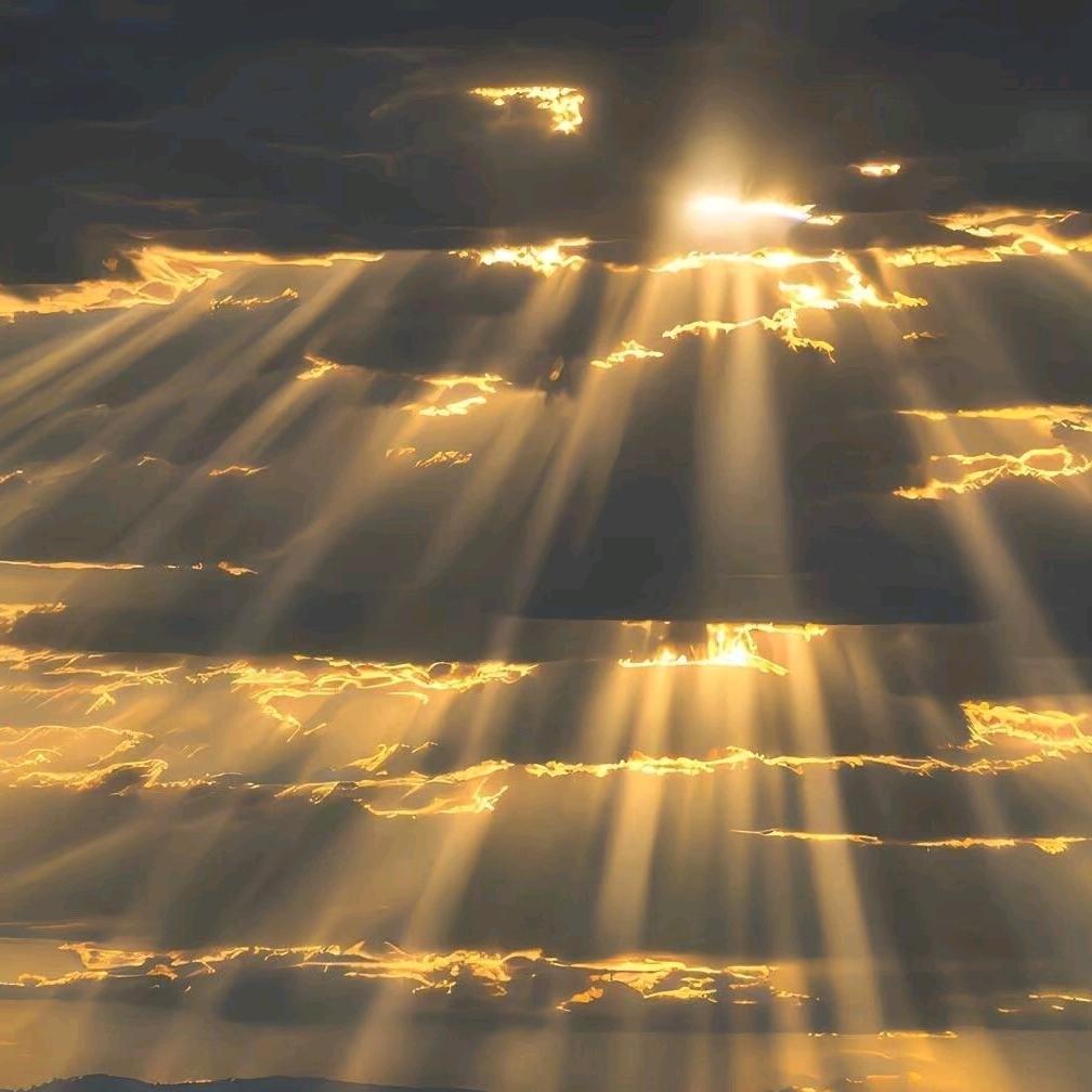 莫 离 莫 弃 🌹