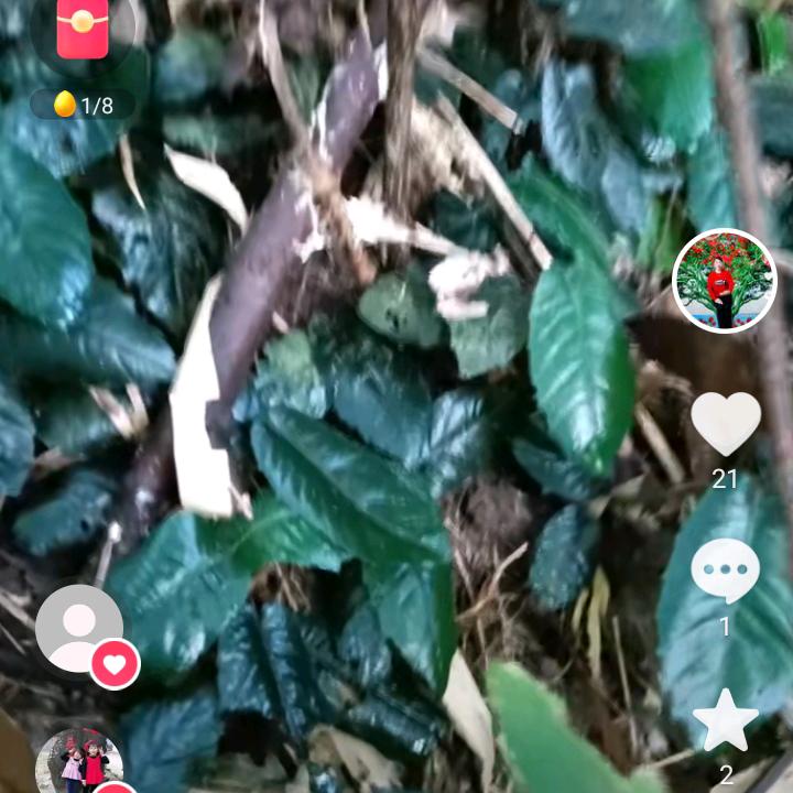 用户3750885372659