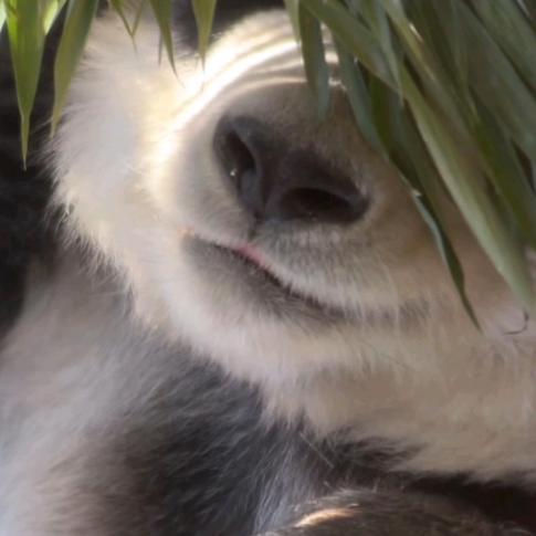 地球的最后一个纯爱战士