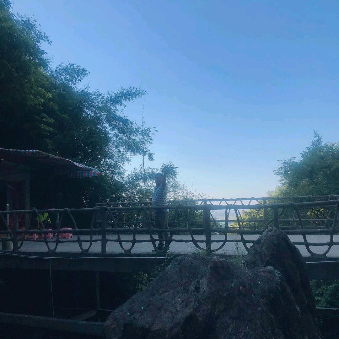 大掌柜