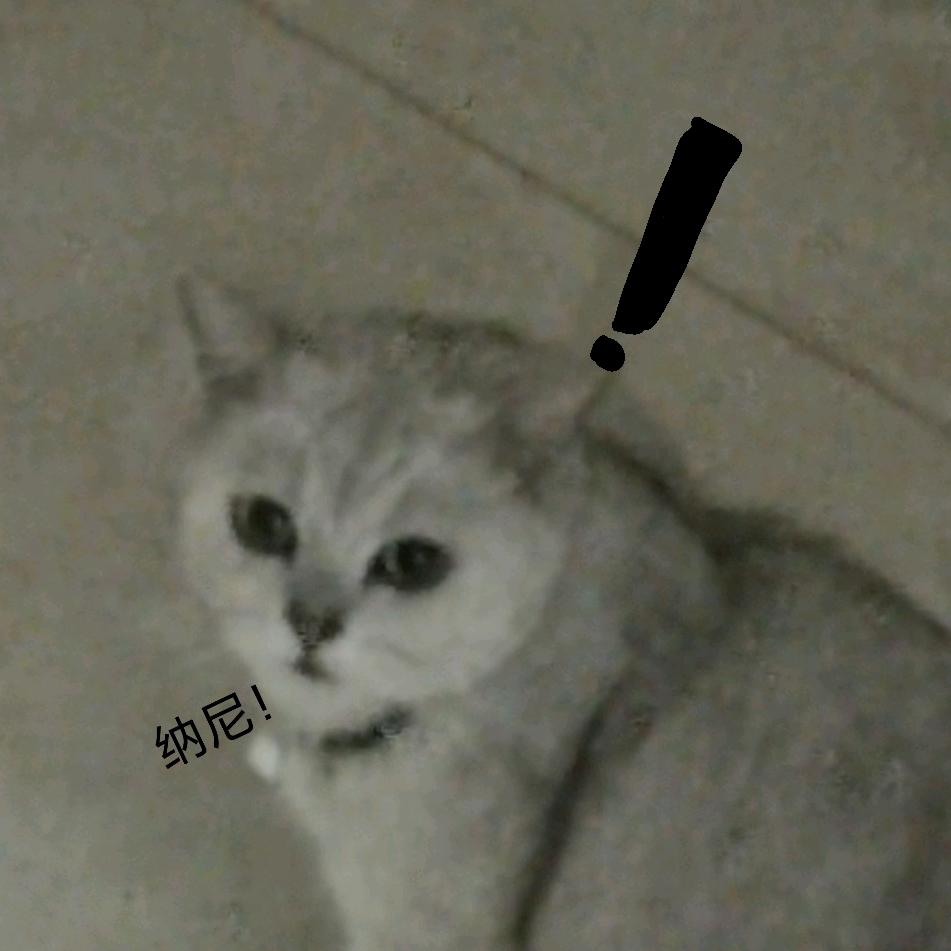 社会你糯姐